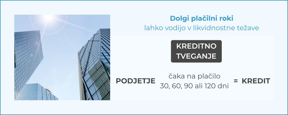 dolgi-plačilni-roki-ebonitete.si